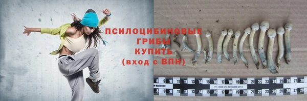 тгк Новокубанск