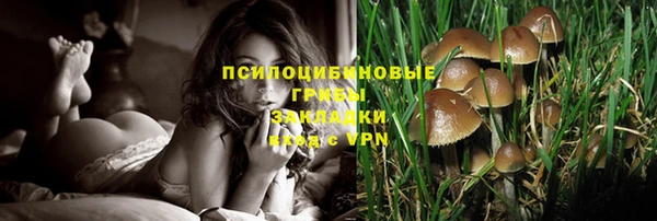 COCAINE Новозыбков